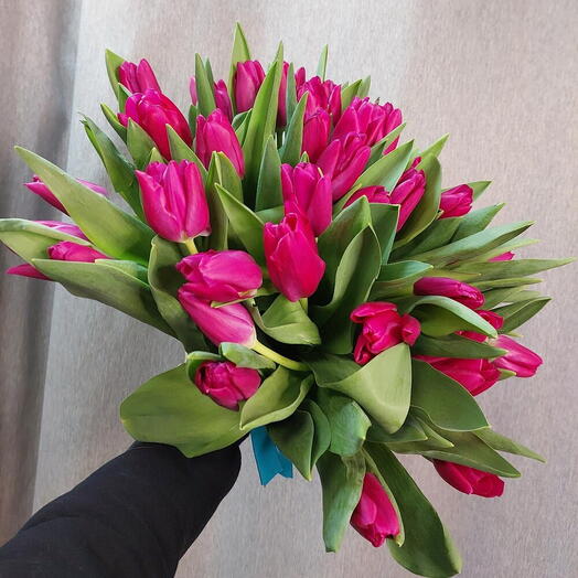 Букет из  25 тюльпанов