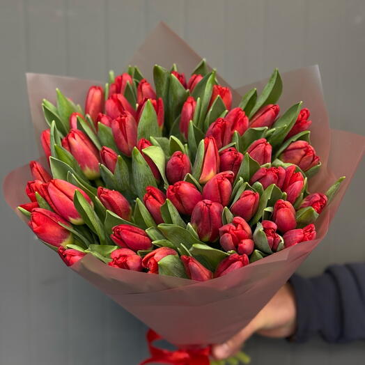 Красные тюльпаны для любимых🌷