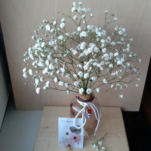 Гипсофила в вазочке "Презент"