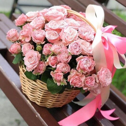 Бомбастик 🌸
