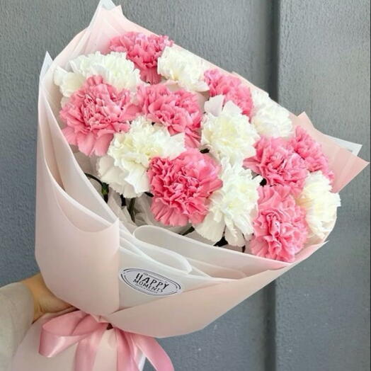 Dianthus
