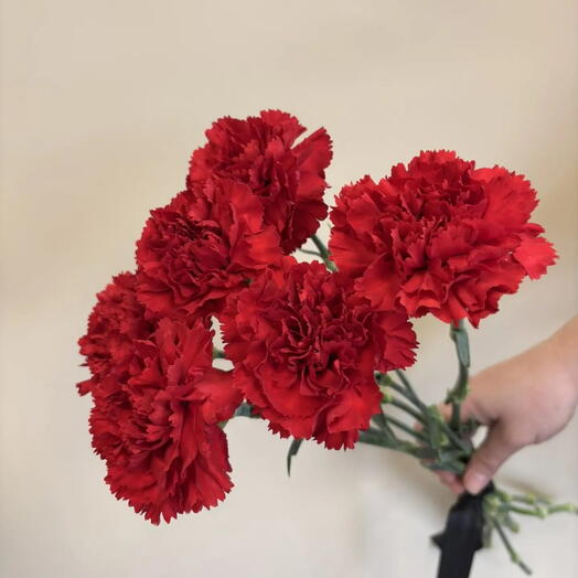 6 красных гвоздик