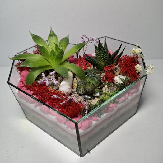 Флорариум -  цветы на день рождения
