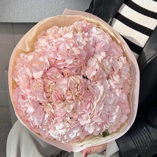 7 розовых гортензий 💞