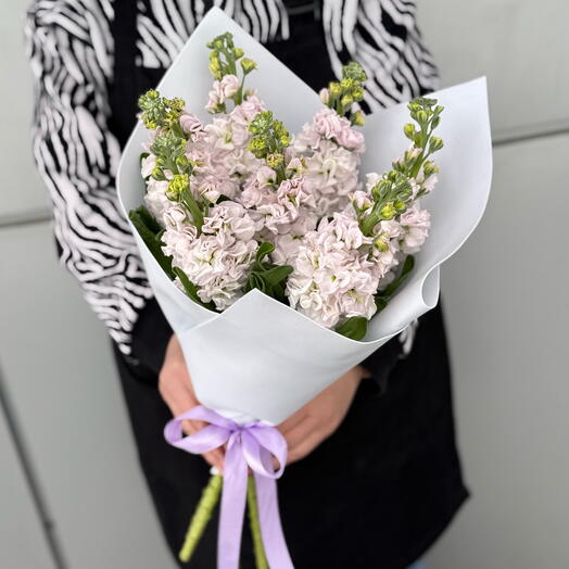 Матиолла в нежном букете
