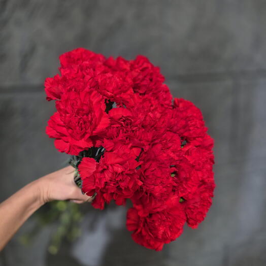 Гвоздики красные 🔴