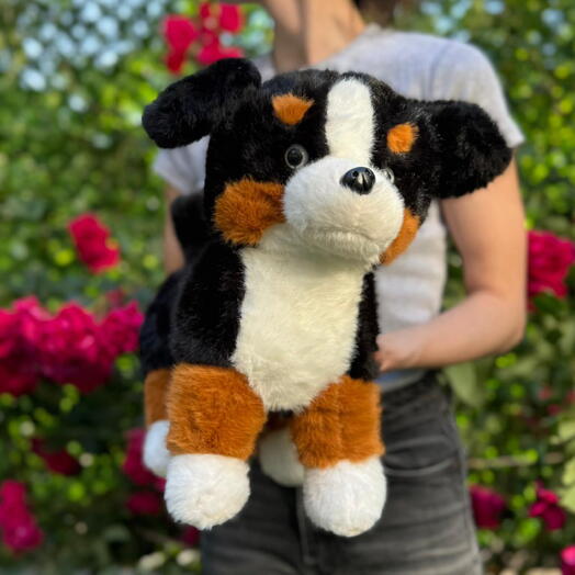 Мягкая игрушка плюшевая собака 35см 1шт.
Soft plush toy dog 35cm