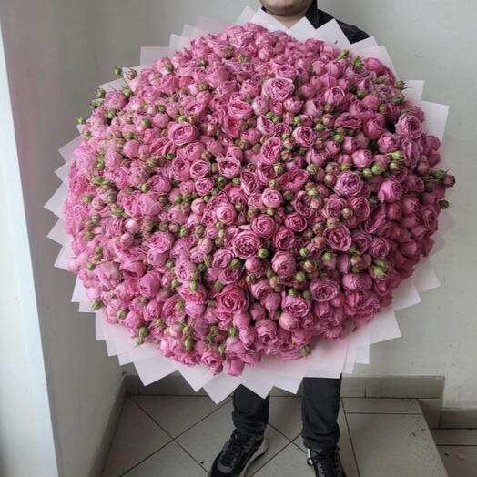 201 кустовая Роза