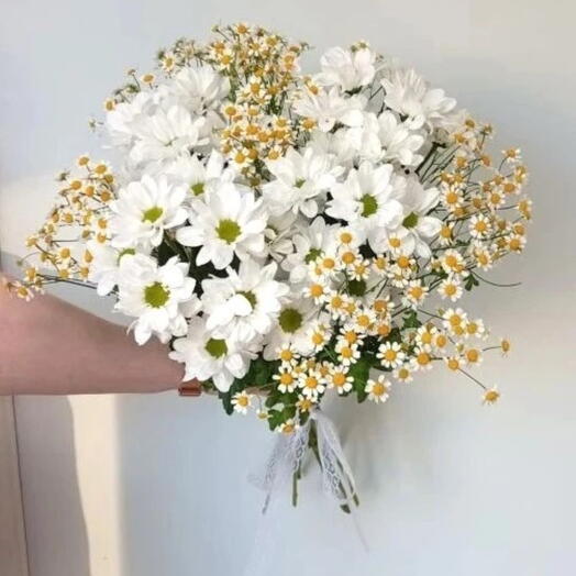 хризантема с танацентум