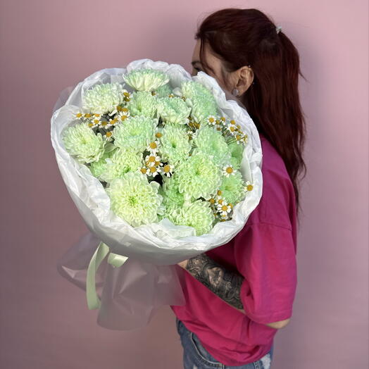 Зелёные хризантемы с ромашками