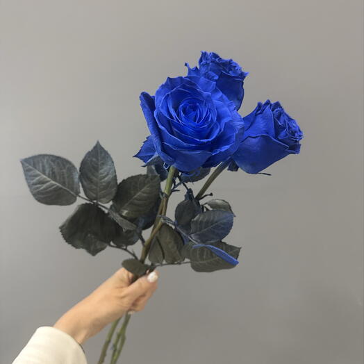 Синие розы 3 штуки под ленту 💙