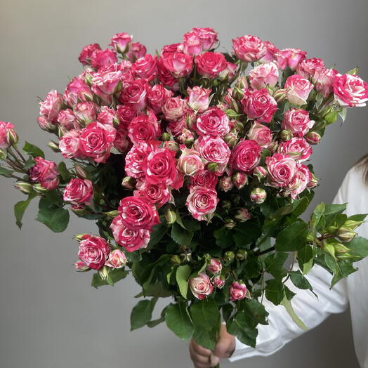 Пачка Роза кустовая 70см (10шт)