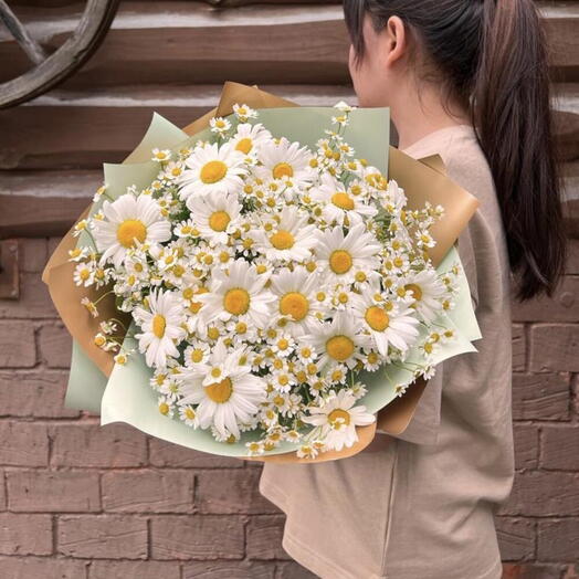 Ромашки летние микс 🌼