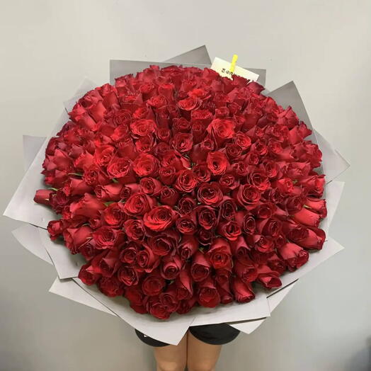 Букет из 201 розы🌹