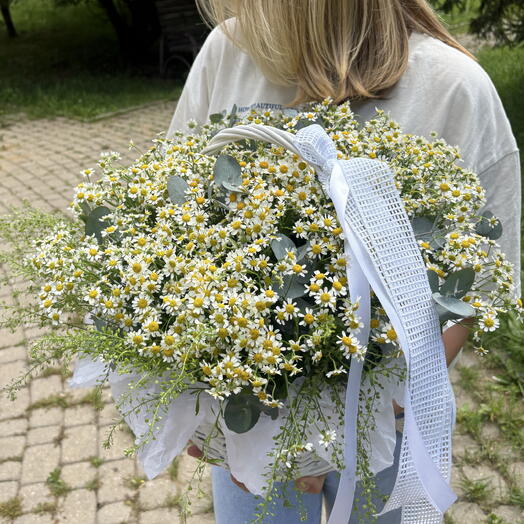корзина с ромашкой матрикария