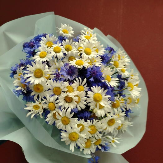 Blue Meadow
