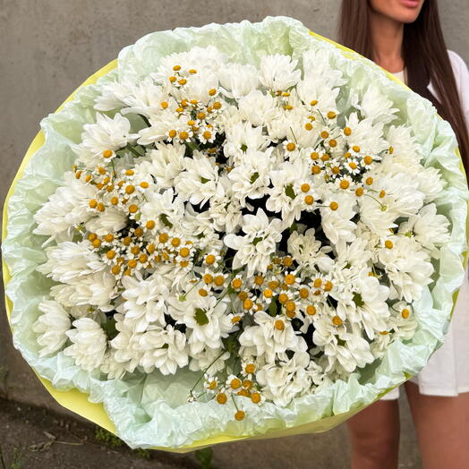 Ромашки с хризантемой