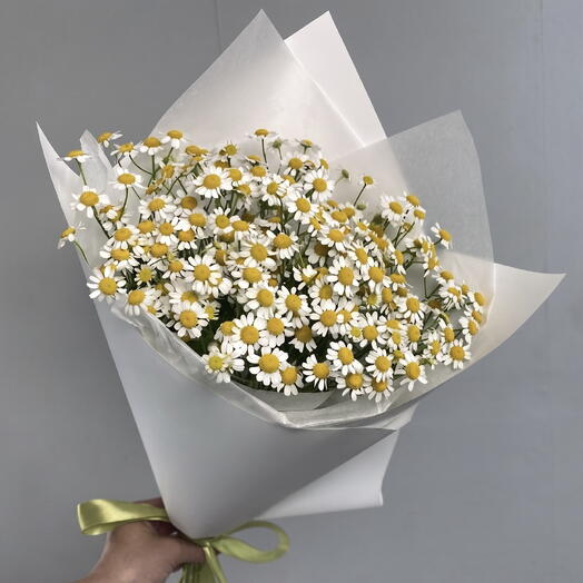 Букет комплимент из ромашек