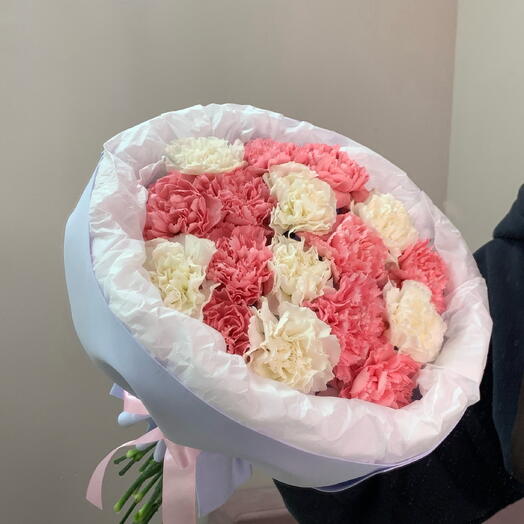 17 диантусов «розовое счастье»