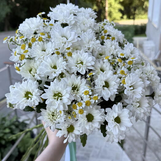 Ромашки