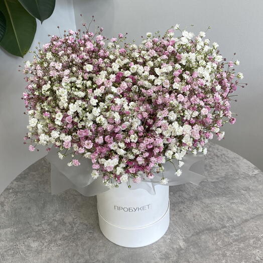 Пышное сердечко из гипсофилы💗