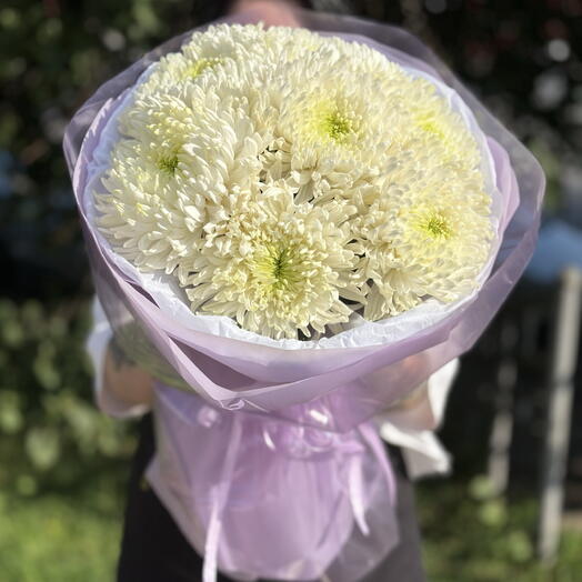Букет одноголовых хризантем 💜