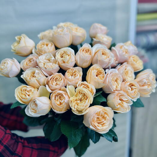 35 пионовидных роз