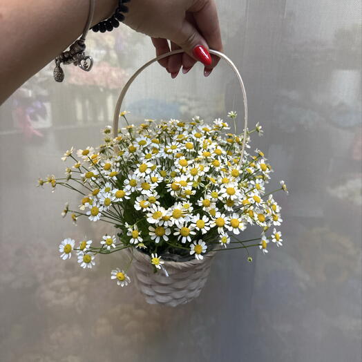 Ромашки в корзинке