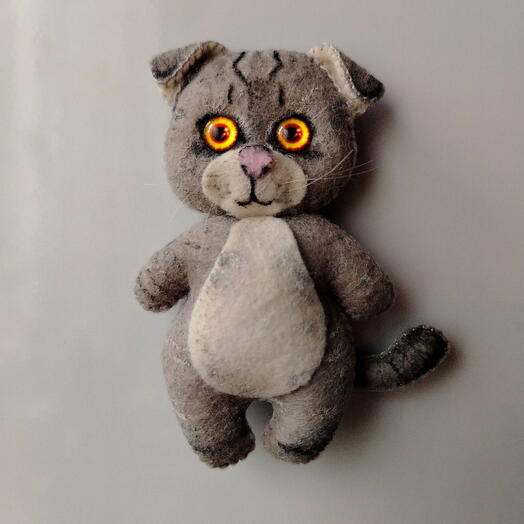 Кот по фотографии