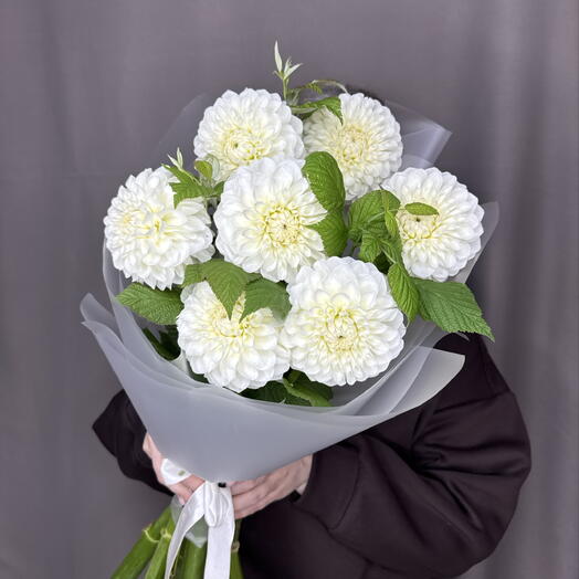 Белые георгины и ветки малины
