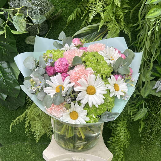 Ромашковое поле🌸