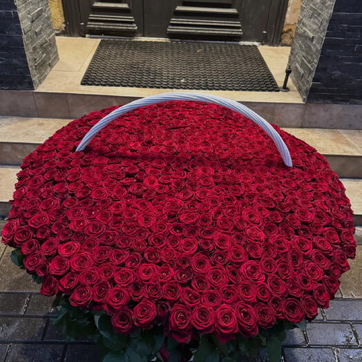 Корзина из 501 красной розы