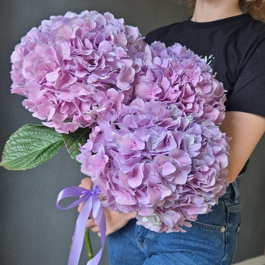 Букет сиреневых гортензий💜