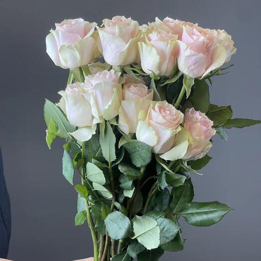 Роза Эквадор 40 см, 25 шт