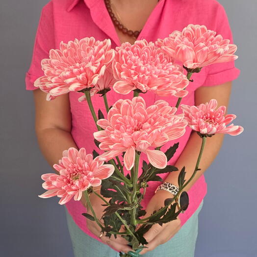 Хризантема кустовая розовая