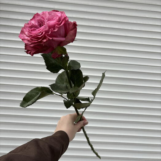 Кантри блюз💞