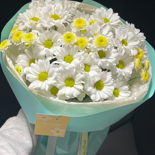 Хризантема ромашковая 🌼