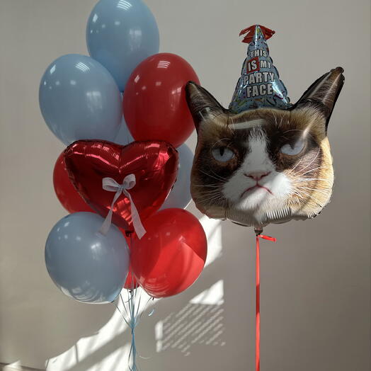 Воздушные шары девушке/ подруге на день рождения с котом