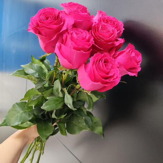 9 малиновых эквадорских роз