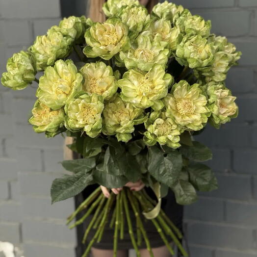 Удиви свою любовь ! Редкий сорт розы! 🌹