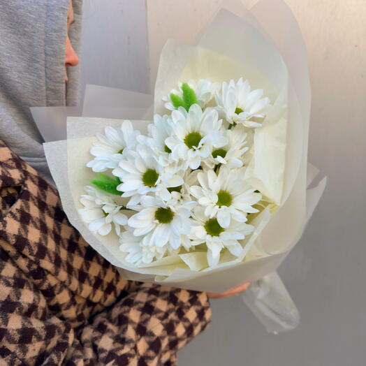 Ромашковидные хризантемы 🌾  Daisy Core   Fluffy Vibe🤍