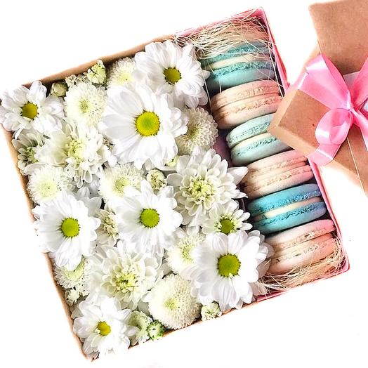 Chamomile dreams
