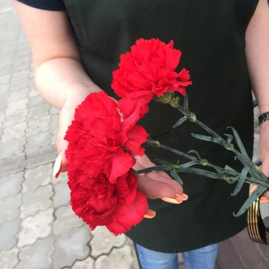Гвоздика