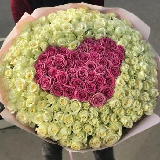 201 piezas rosas