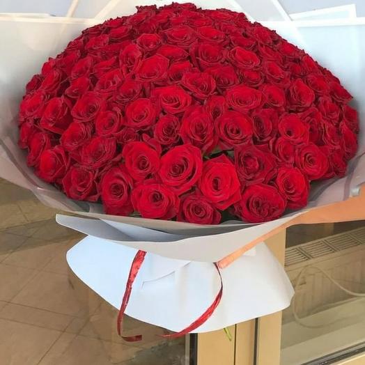 101 rosa