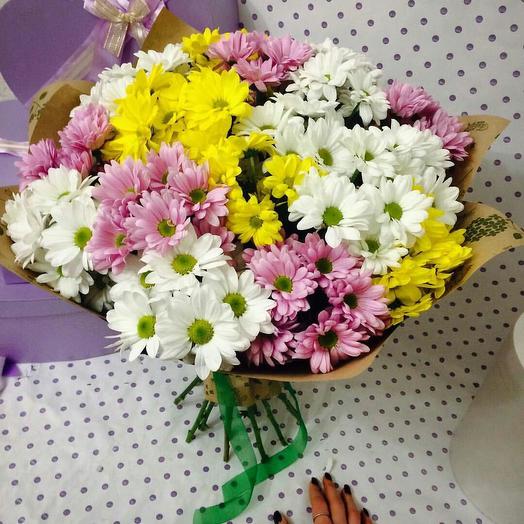 15 разноцветных хризантем