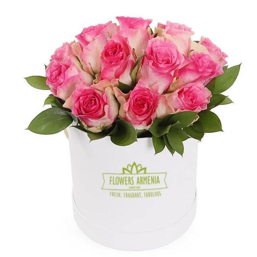 Pink Miracle