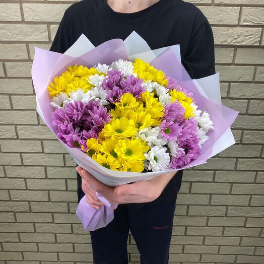 15 chrysanthemums mix