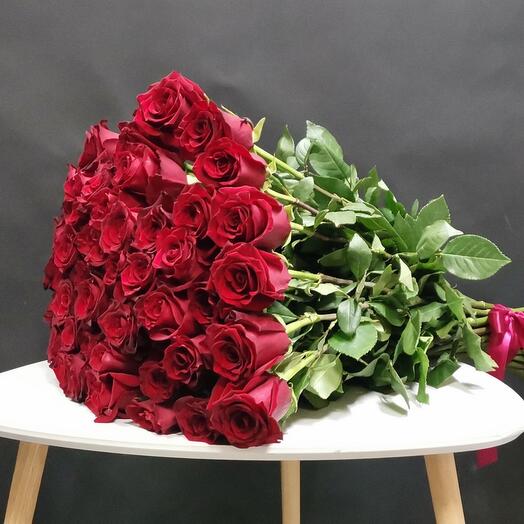 Meter Roses `49