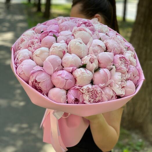 51 шикарный пион